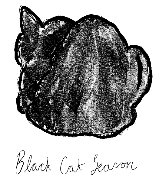 black cat season